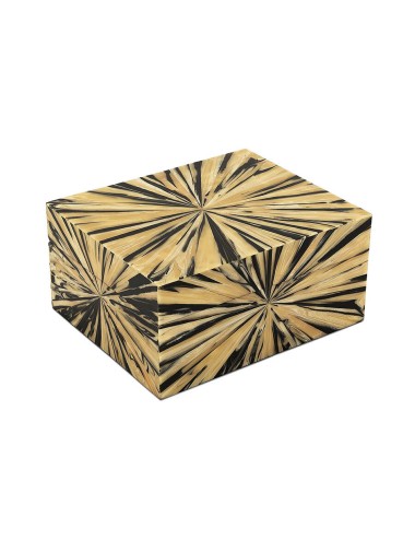 BOX FIREFLY BIG