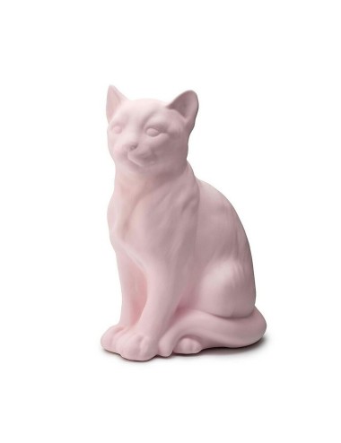 CAT BISC.