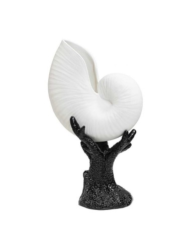 SEASHELL BISC. WITH BASE