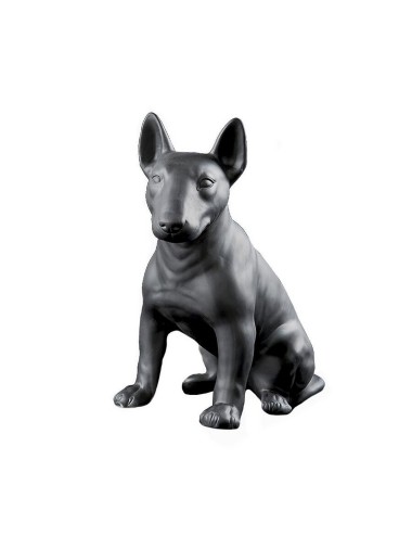 BULL TERRIER BISC.