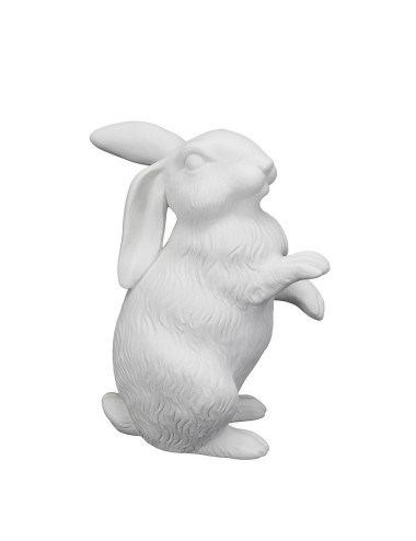 RABBIT UP