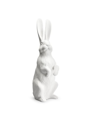 RABBIT UP WITHOUT COLLAR