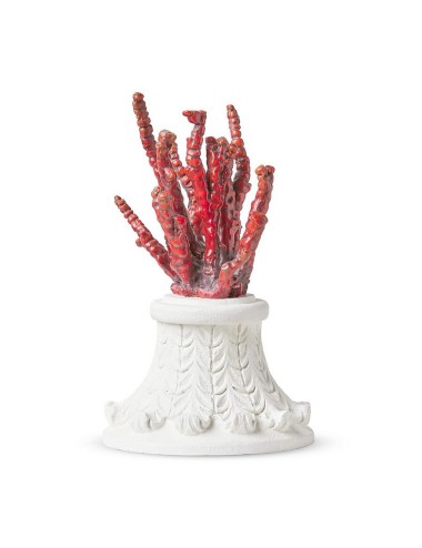 CORAL WITH BASE MOD