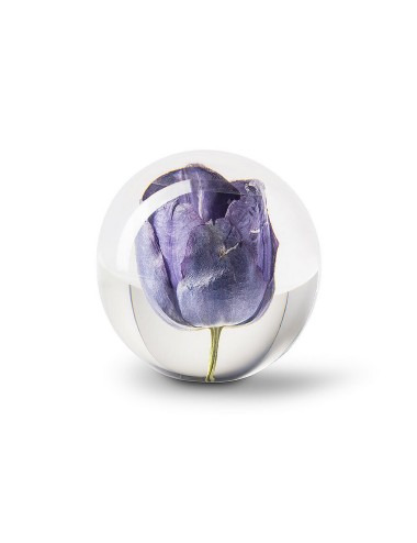 PAPERWEIGHT TULIP H8 D7,5