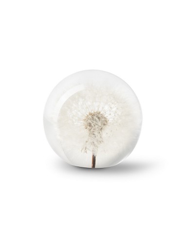PAPERWEIGHT DANDELION H8 D7,5