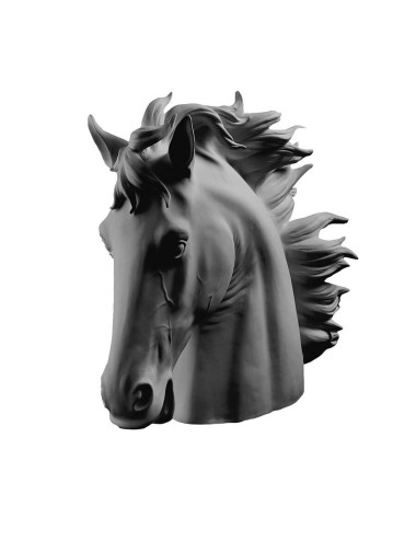 HORSE HEAD BISC.