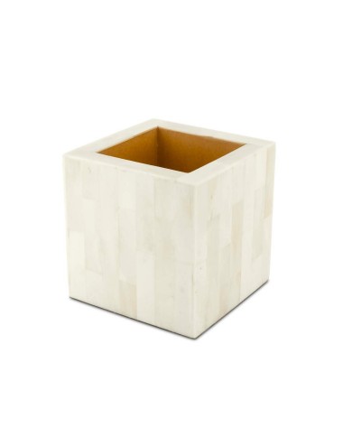 BOX BONE LARGE