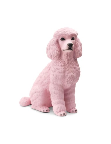 POODLE BISC.