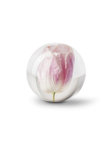 PAPERWEIGHT TULIP H8 D7,5