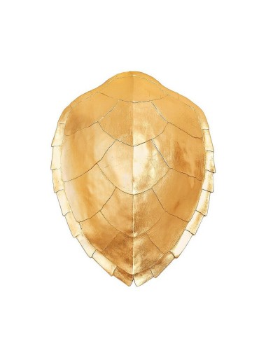 TURTLE SHELL