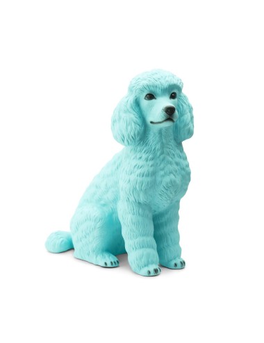 POODLE BISC.