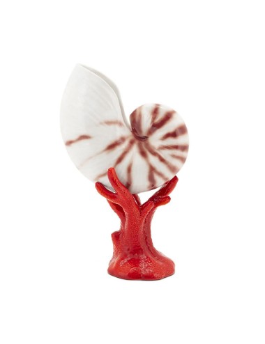 SEASHELL BISC. WITH BASE