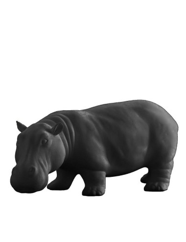 HIPPO BISC.