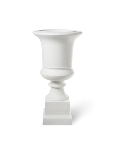 CUP VENUS